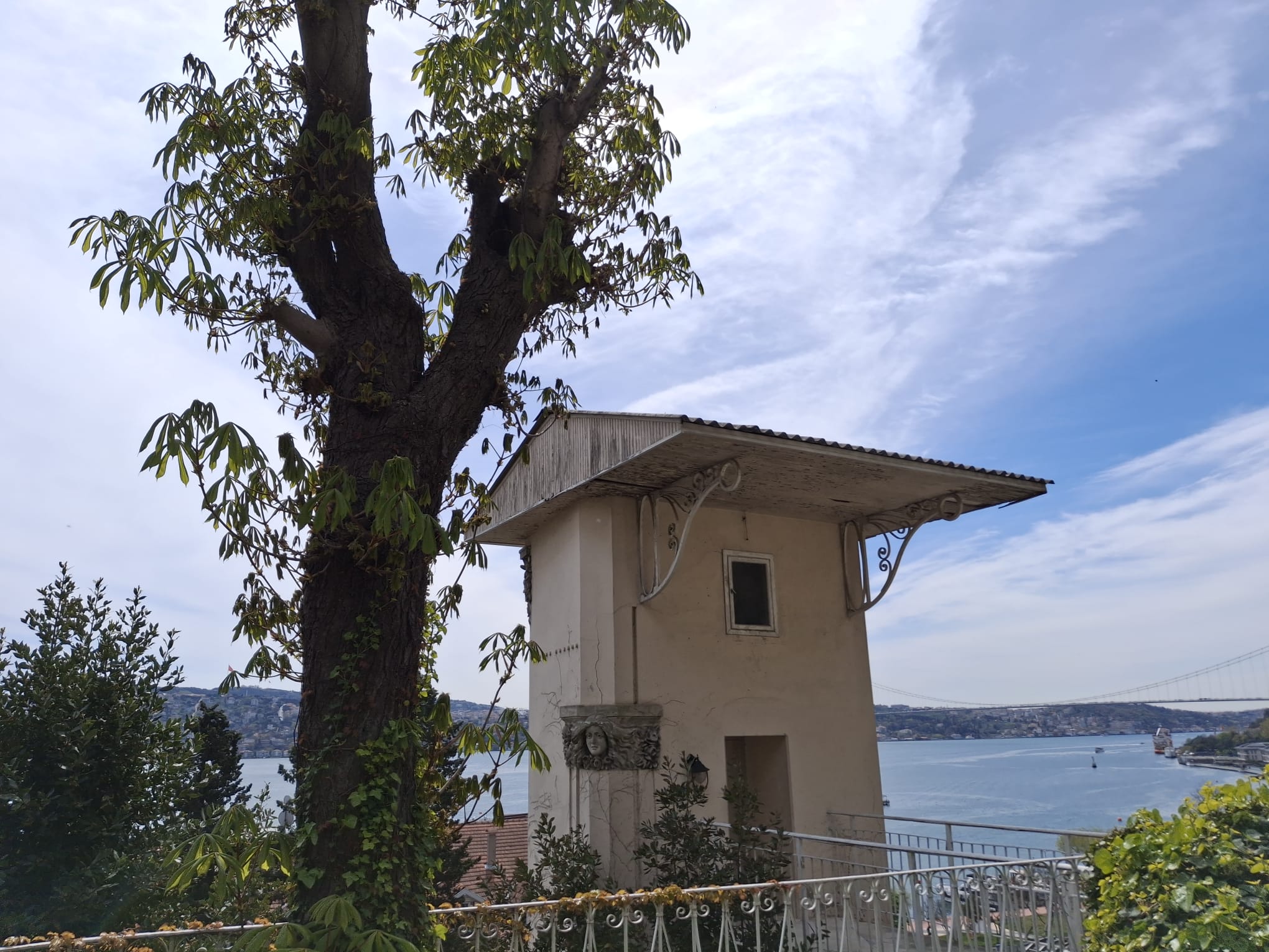 ALİ VAFİ KORUSU VİLLA KURUÇEŞME